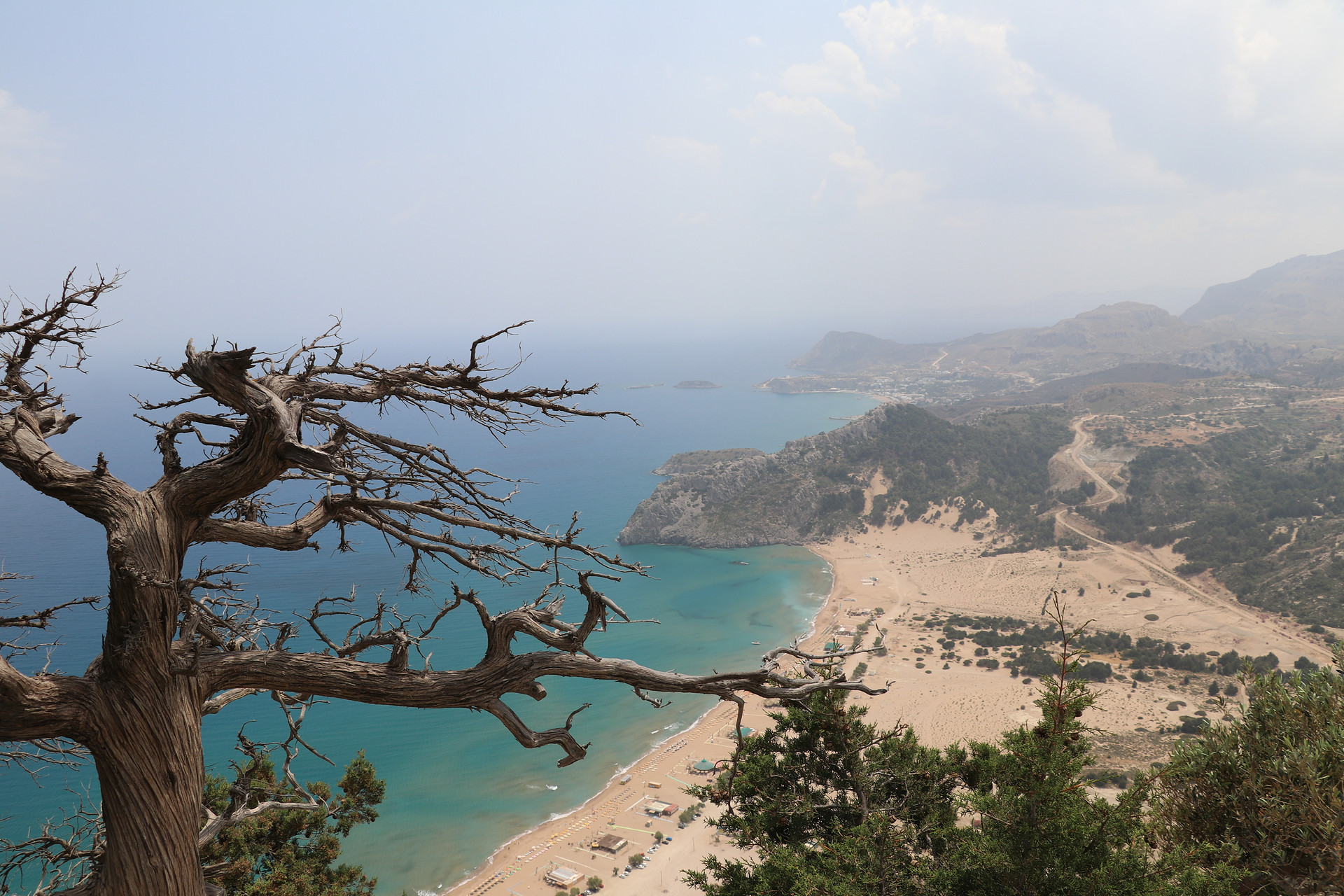 img 2851.jpg compressed